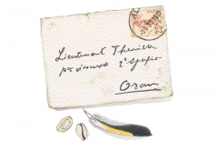 Small Letter, goldfinch feather & cowries