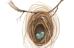 Weaverbird Nest 4